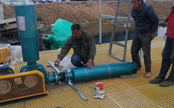  High pressure water-cooled Roots blower
