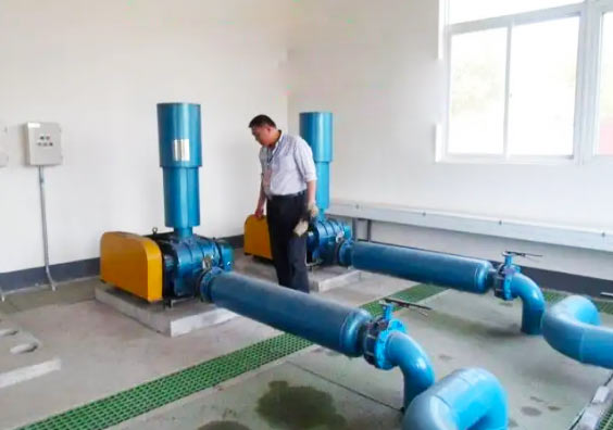  Roots blower for sewage treatment