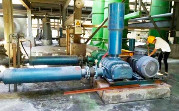  Three blade roots blower