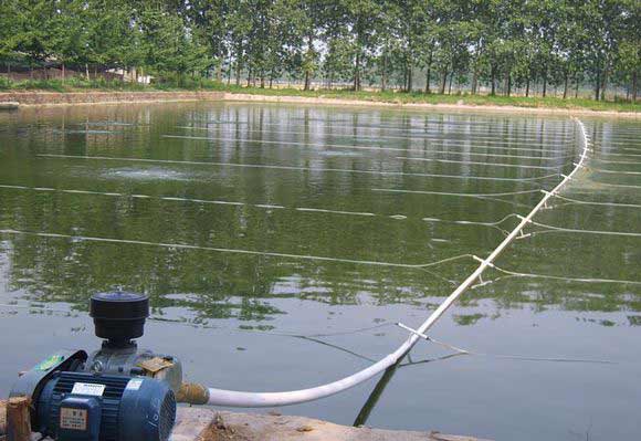  Case of Roots blower for aquaculture industry