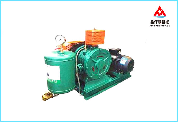  XQSHZ-25IS Rotary Blower