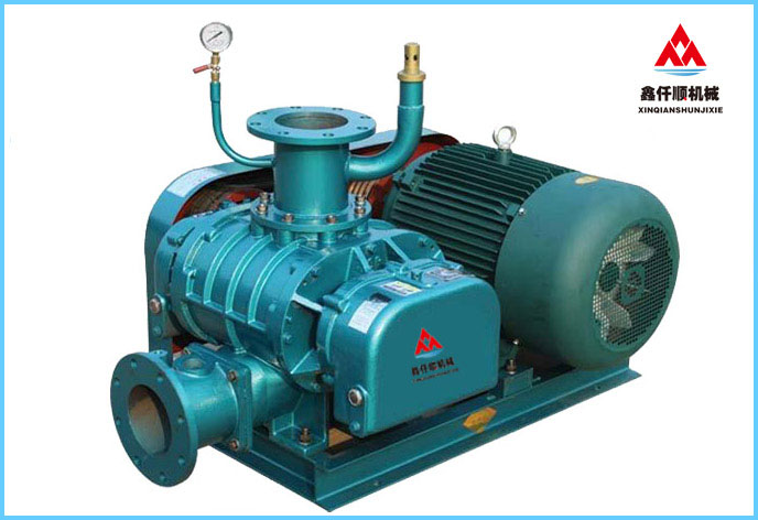  XQSSR-200AV (VH) Roots vacuum pump
