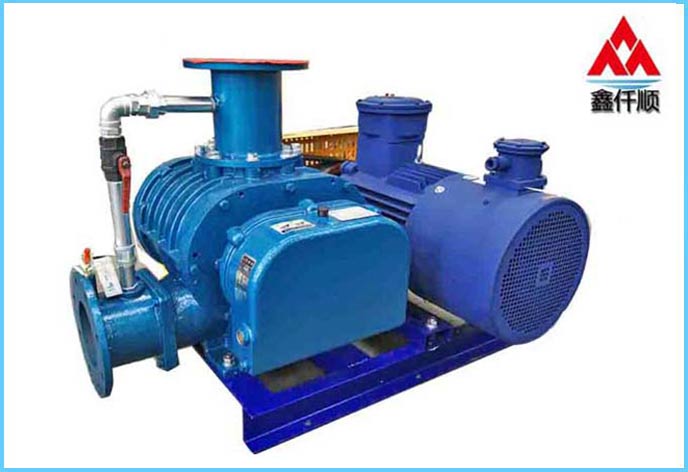  Roots blower for biogas transmission