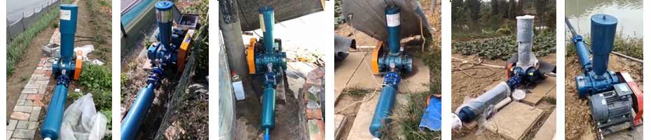  Some cases of Roots blower for aquaculture