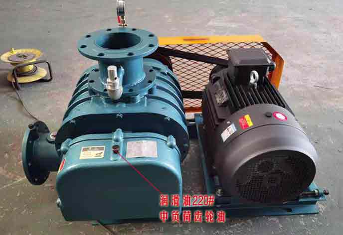 What causes the oil leakage at the exhaust port below the gear box of Roots blower? What causes the oil leakage at the exhaust port below the gear box of Roots blower?