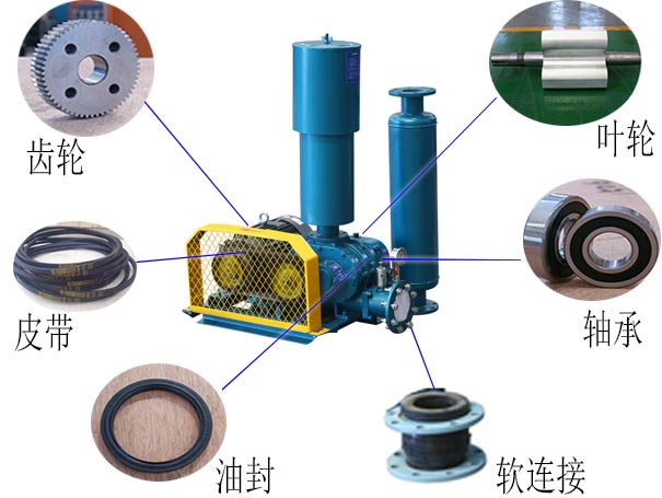  Selection of Roots blower