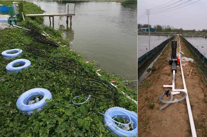  Roots blower for aquaculture oxygen supply and aeration
