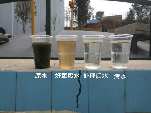  Application Case of Roots Blower for Sewage Aeration