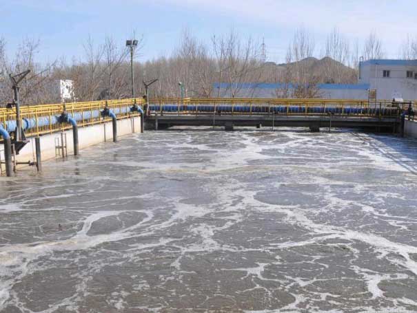  Case of Roots blower sewage treatment