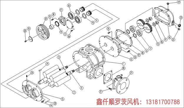  Working components of Roots blower