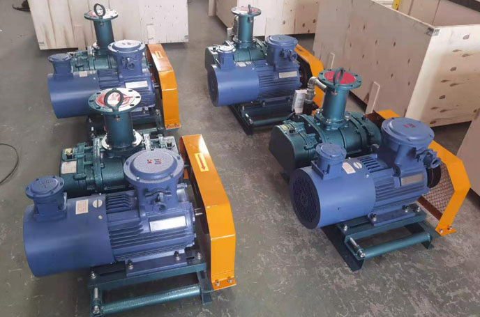  Roots blower for biogas transmission
