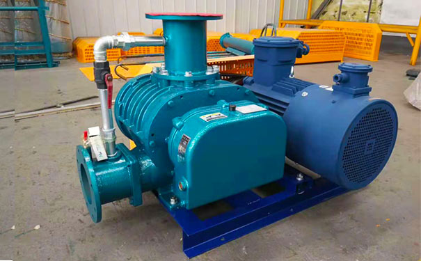  Real shot of Roots blower for biogas