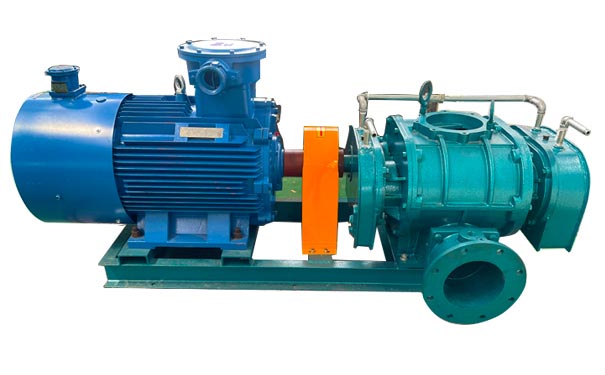 Directly connected Roots blower Directly connected Roots blower