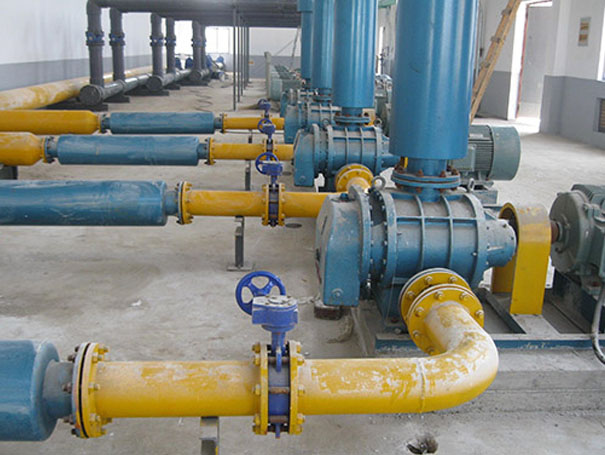  <b>Case of biogas transmission with Roots blower in chemical industry</b>