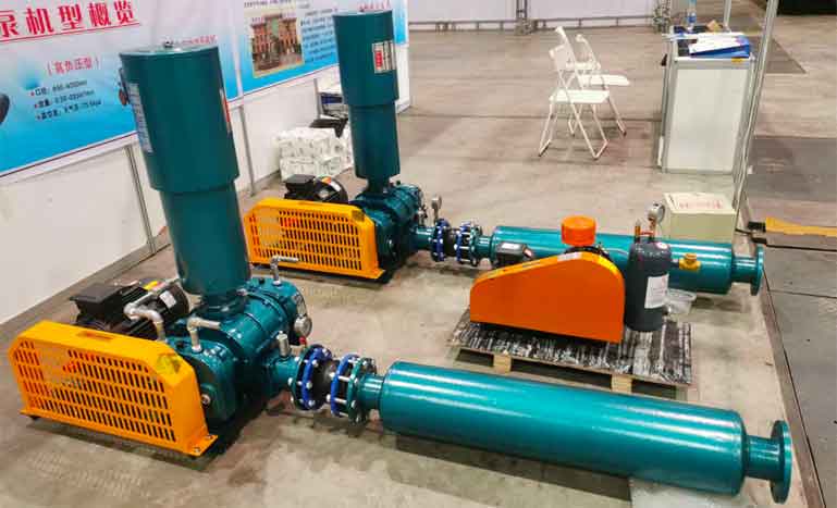  Can the positive pressure roots blower be used for changing negative pressure roots blower into negative pressure roots blower (Figure 1)