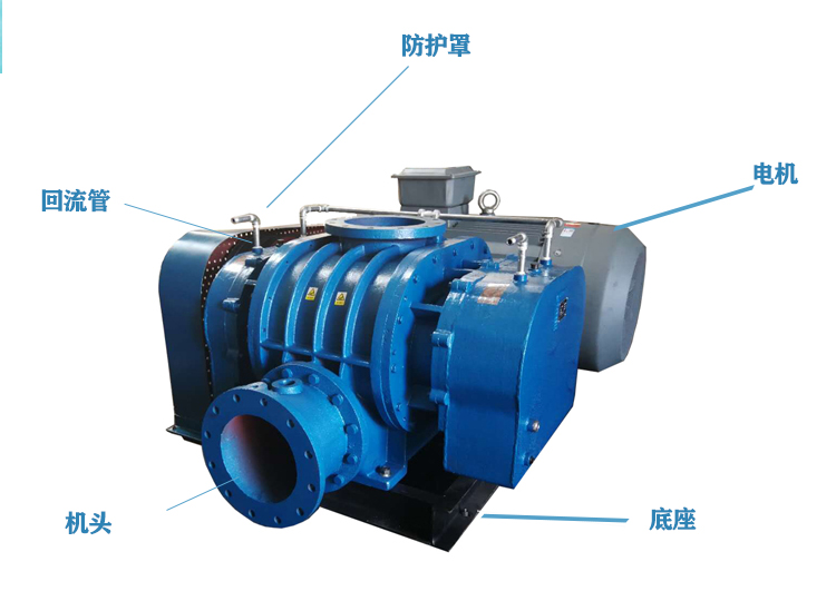 Disassembly drawing of high-pressure roots blower High pressure Roots blower (Figure 2)