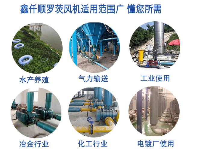 Application scope of high-pressure roots blower High pressure Roots blower (Figure 5)