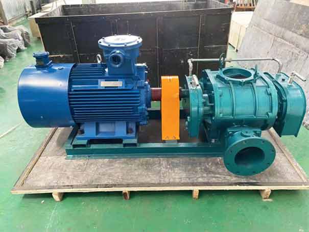 Real picture of factory of direct connected roots blower - direct connected drive three blade roots blower Direct drive three blade roots blower (Figure 7)