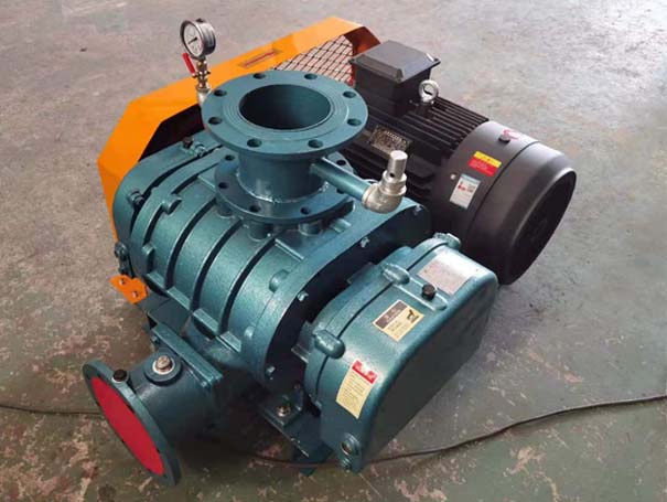  Roots blower manufacturer delivered 5 sets of Jiangxi Roots vacuum pump XQSSR125v (Figure 1)